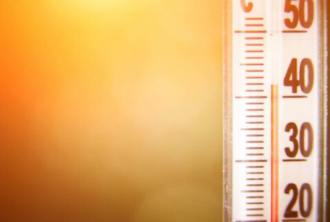 Canicule